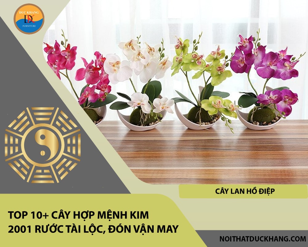 Top 10+ cây hợp mệnh Kim 2001 rước tài lộc, đón vận may