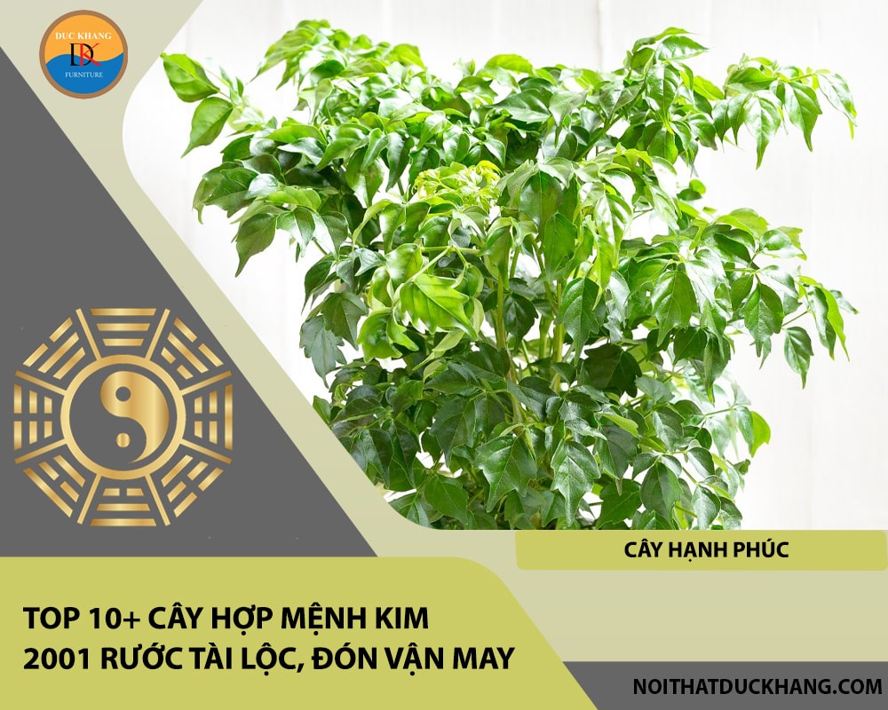Top 10+ cây hợp mệnh Kim 2001 rước tài lộc, đón vận may - Cây Hạnh Phúc