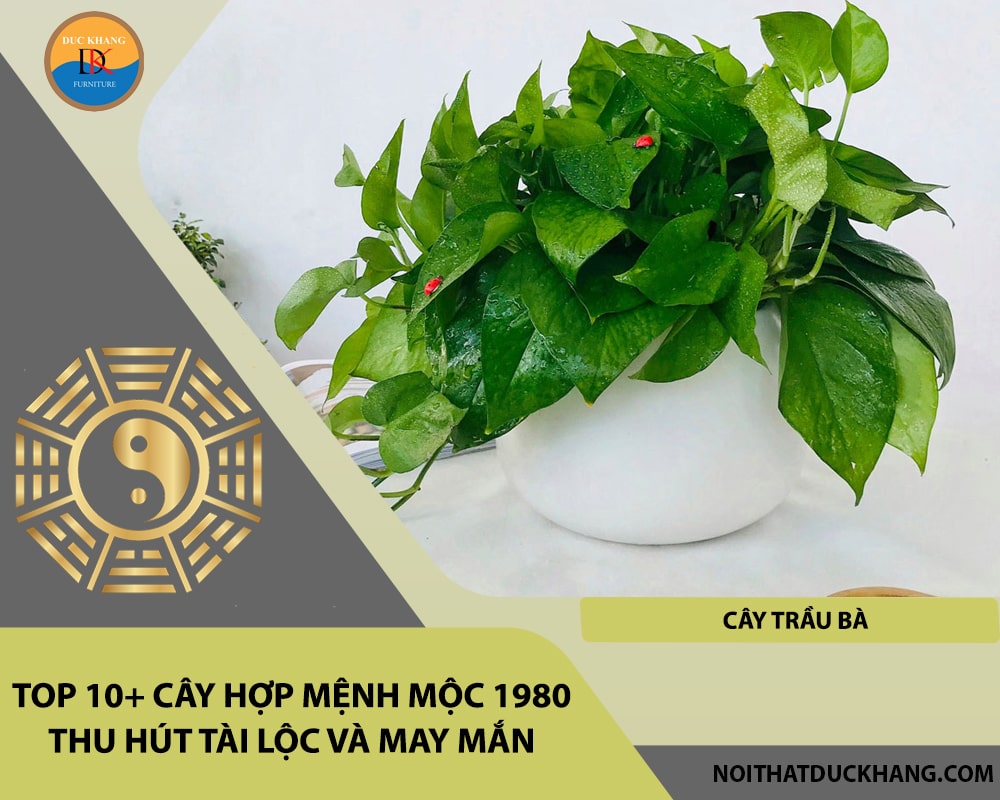 Top 10+ cây hợp mệnh Mộc 1980 thu hút tài lộc và may mắn