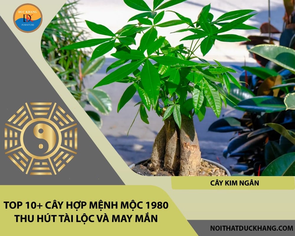 Top 10+ cây hợp mệnh Mộc 1980 thu hút tài lộc và may mắn - Cây Kim Ngân