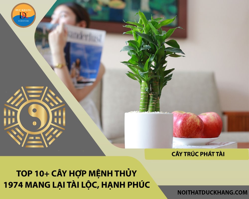 Top 10+ cây hợp mệnh Thủy 1974 mang lại tài lộc, hạnh phúc