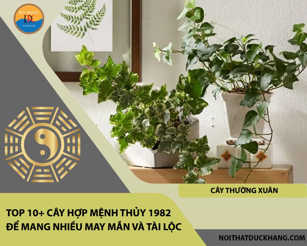 Top 10+ cây hợp mệnh Thủy 1982 để mang nhiều may mắn và tài lộc - Cây Thường Xuân