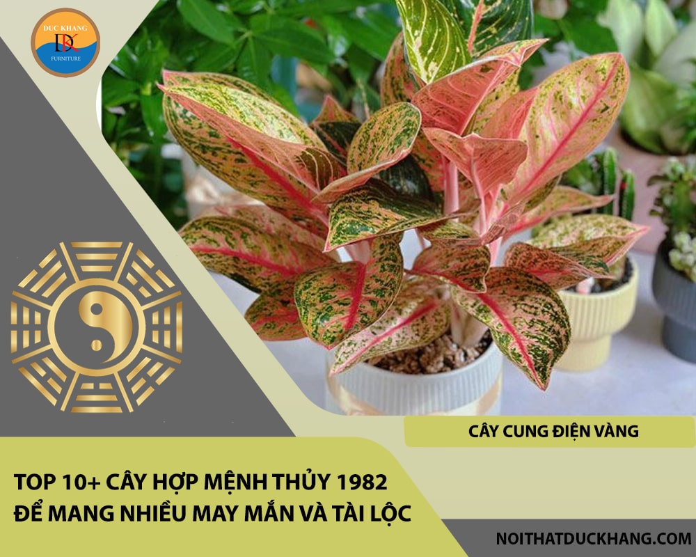 Top 10+ cây hợp mệnh Thủy 1982 để mang nhiều may mắn và tài lộc - Cây Cung Điện Vàng
