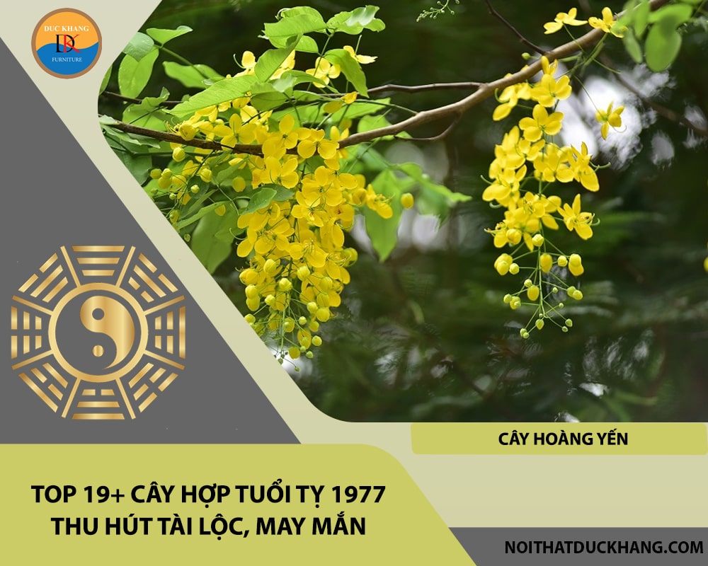 Top 19+ cây hợp tuổi Tỵ 1977 thu hút tài lộc, may mắn