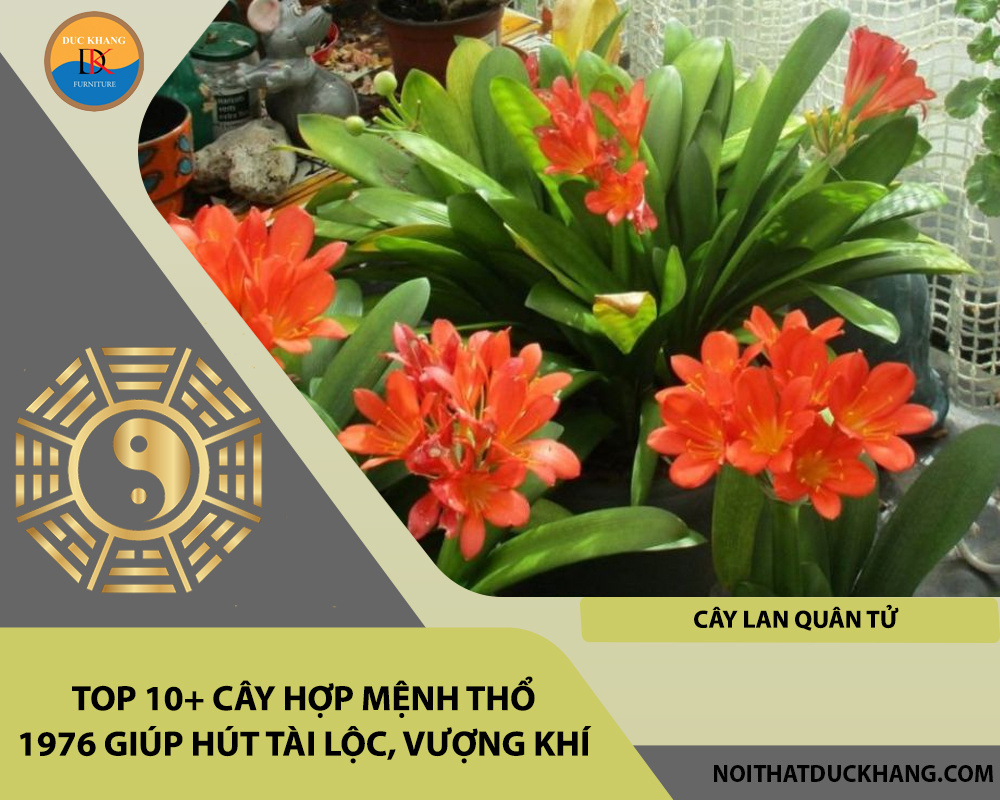 Top 10+ cây hợp mệnh Thổ 1976 giúp hút tài lộc, vượng khí - Cây lan quân tử