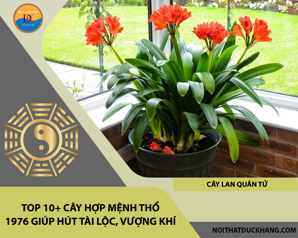 Top 10+ cây hợp mệnh Thổ 1976 giúp hút tài lộc, vượng khí