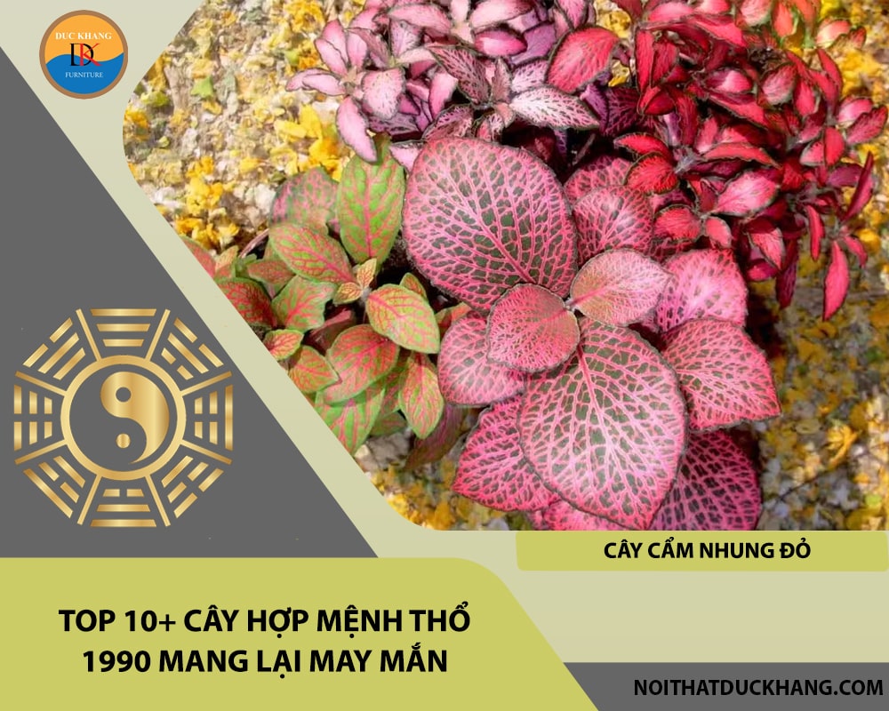 Top 10+ cây hợp mệnh Thổ 1990 mang lại may mắn