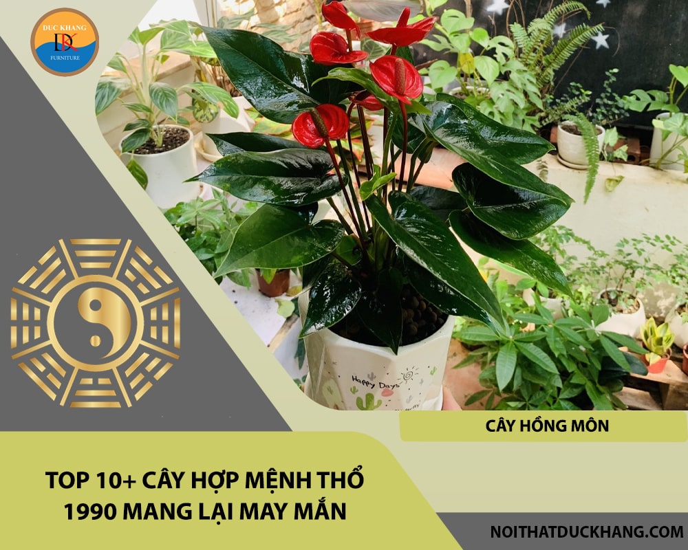 Top 10+ cây hợp mệnh Thổ 1990 mang lại may mắn - Cây hồng môn