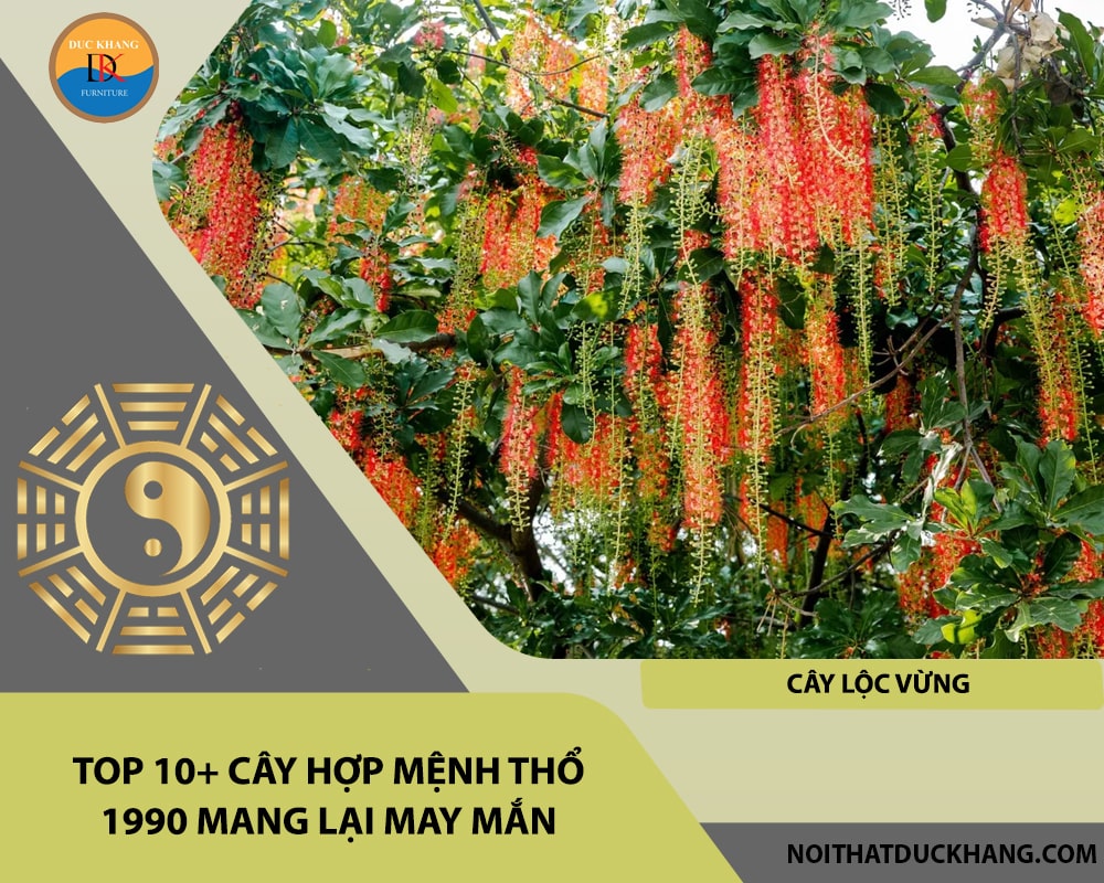 Top 10+ cây hợp mệnh Thổ 1990 mang lại may mắn - Cây lộc vừng