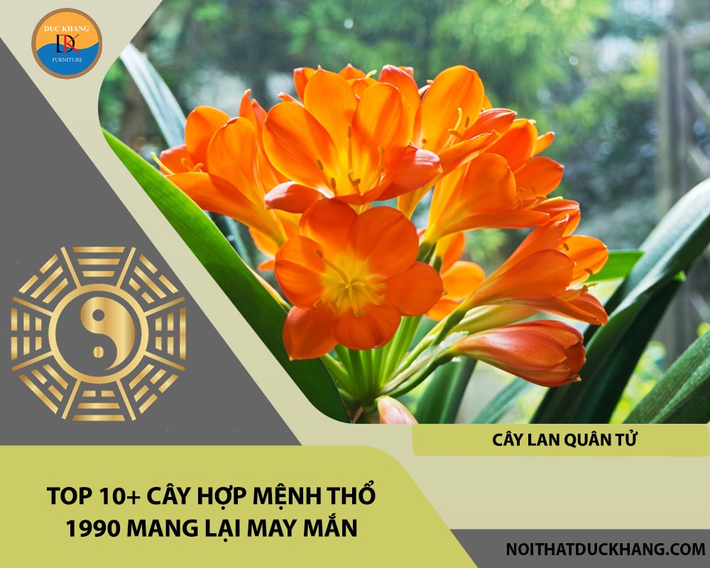 Top 10+ cây hợp mệnh Thổ 1990 mang lại may mắn - Cây lan quân tử