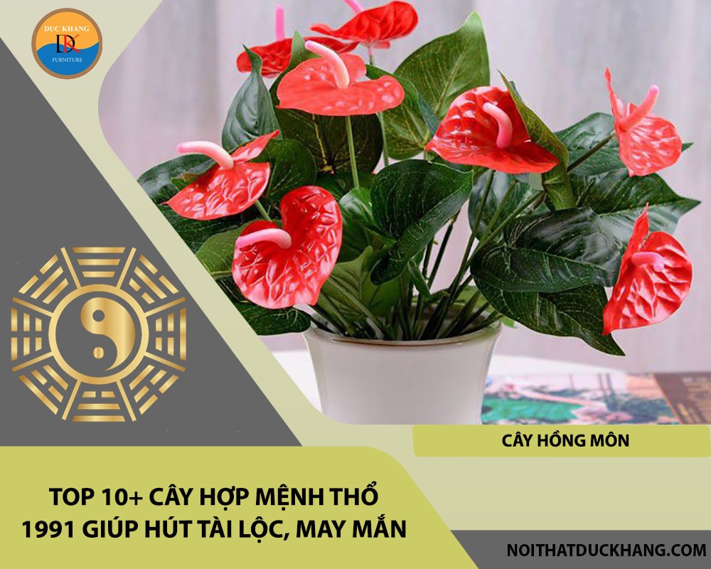 Top 10+ cây hợp mệnh Thổ 1991 giúp hút tài lộc, may mắn - Cây hồng môn