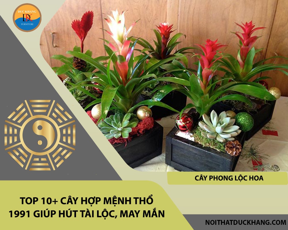 Top 10+ cây hợp mệnh Thổ 1991 giúp hút tài lộc, may mắn