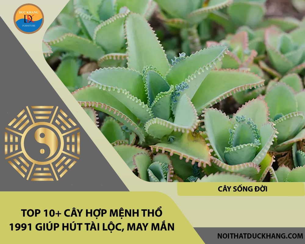 Top 10+ cây hợp mệnh Thổ 1991 giúp hút tài lộc, may mắn -  Cây sống đời