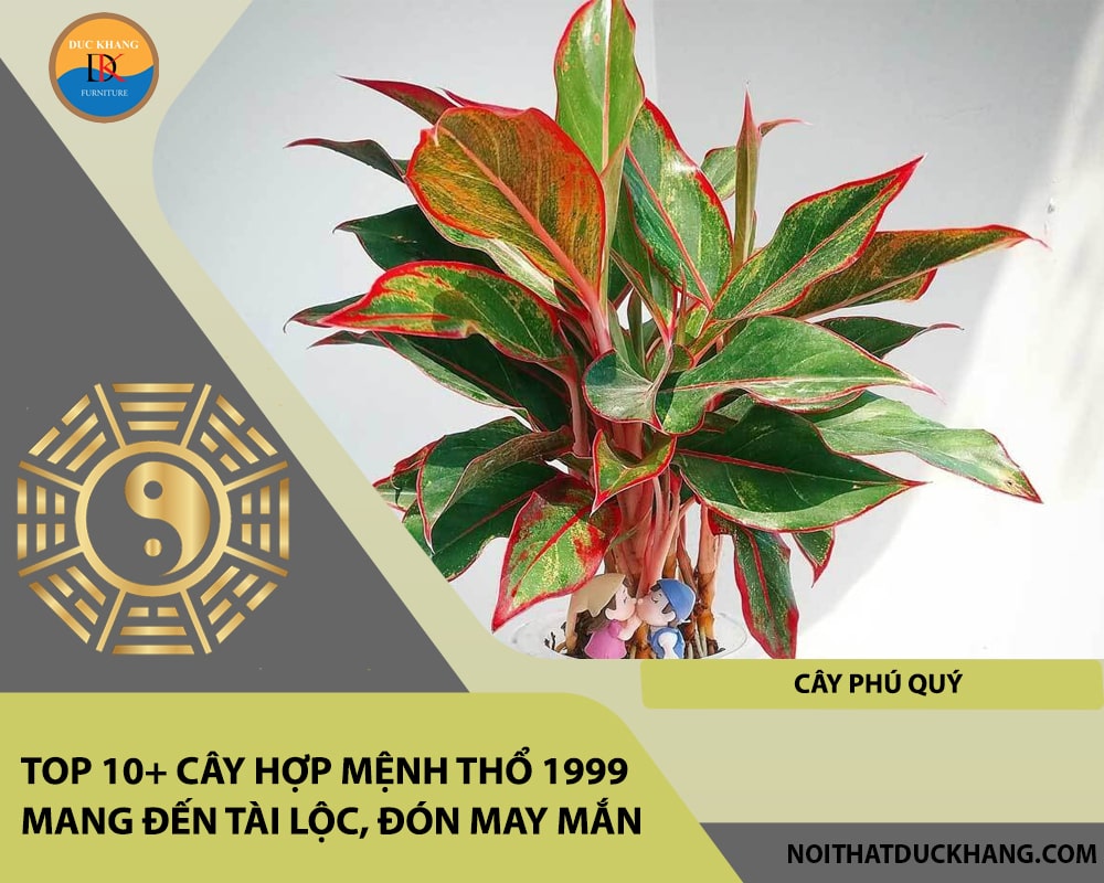 Top 10+ cây hợp mệnh Thổ 1999 mang đến tài lộc, đón may mắn - Cây phú quý