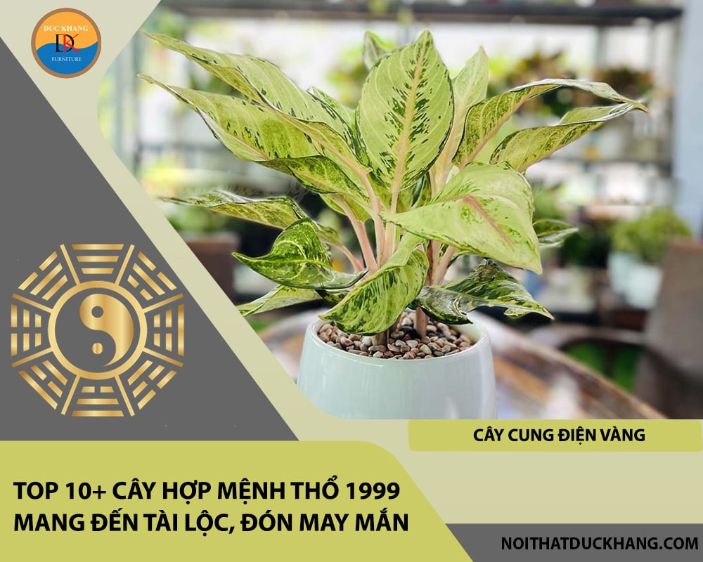 Top 10+ cây hợp mệnh Thổ 1999 mang đến tài lộc, đón may mắn - Cây cung điện vàng
