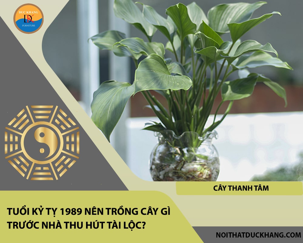 Tuổi Kỷ Tỵ 1989 nên trồng cây gì trước nhà thu hút tài lộc?