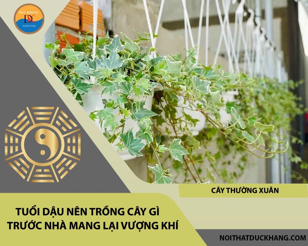 Tuổi Dậu nên trồng cây gì trước nhà mang lại vượng khí, tài lộc