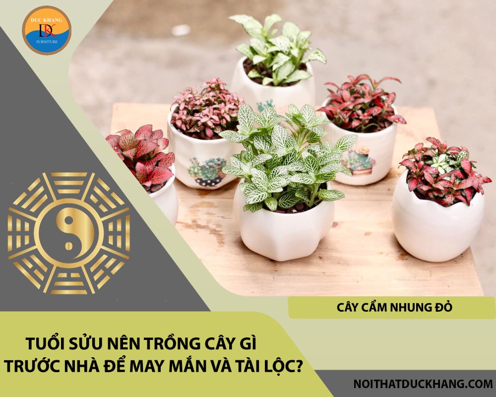 Tuổi Sửu nên trồng cây gì trước nhà để may mắn và tài lộc?