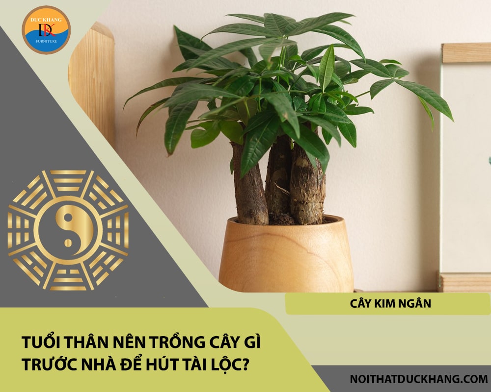 Tuổi Thân nên trồng cây gì trước nhà để hút tài lộc - Cây kim ngân