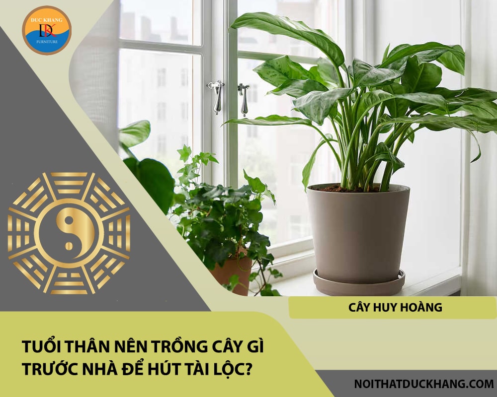 Tuổi Thân nên trồng cây gì trước nhà để hút tài lộc - Cây huy hoàng