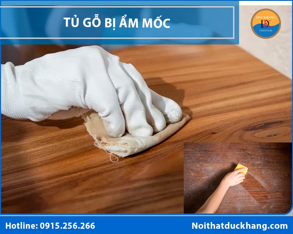 Tủ gỗ bị ẩm mốc Tủ gỗ bị ẩm mốc